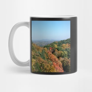 Fall in New England Mug